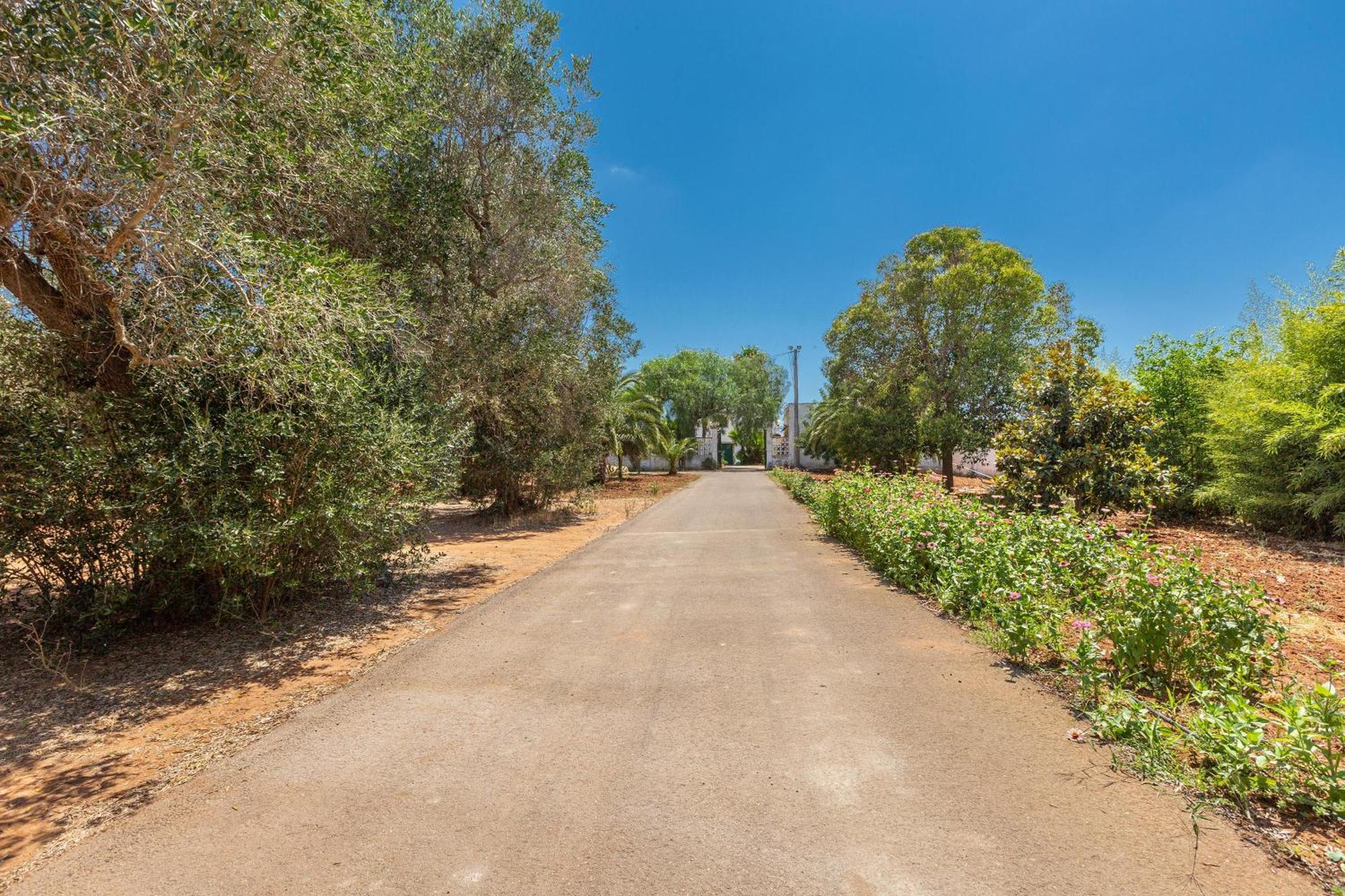 Masseria Sierri By Perle Di Puglia San Pancrazio Salentino Dış mekan fotoğraf